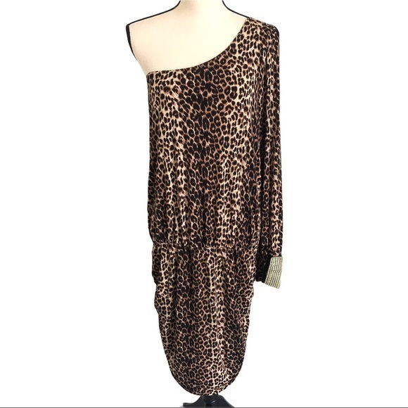 Leopard Print Dress Bodycon